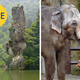 Image for article titled 86 Viral Images From 2014 That Were Totally Fake